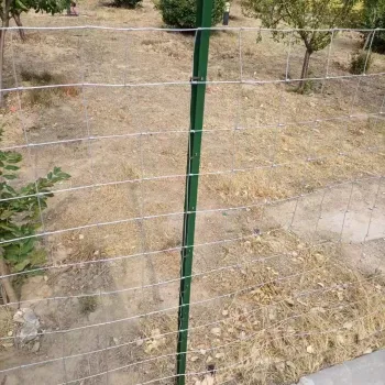 Hot Selling Fence Steel Wire Mesh for Livestock Protection