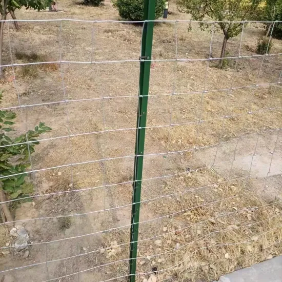 Hot Selling Fence Steel Wire Mesh for Livestock Protection