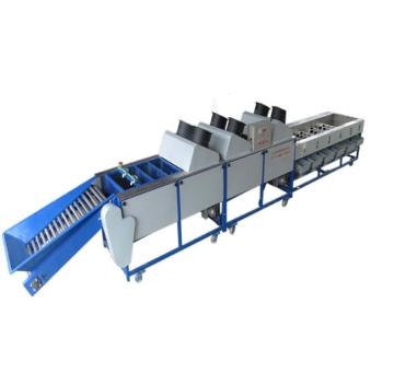 Cherry Tomato and Orange Litchi Washing Grading Sorting Machine
