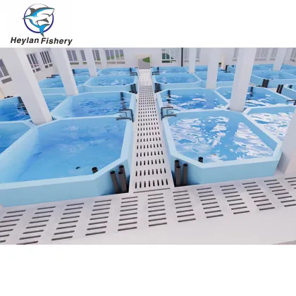 Commercial RAS Aquaculture for Tilapia and Salmon Farming