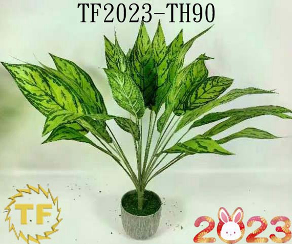 20.5 "Aglaonema Green Bush