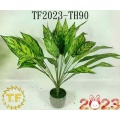 20,5 "Aglaonema Green Busch