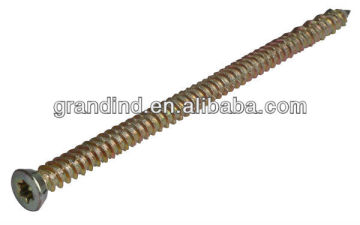 FRAME SCREW