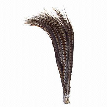 Ladies' Amherst Pheasant Center Tails in Natural Color, 34-36-inch Length