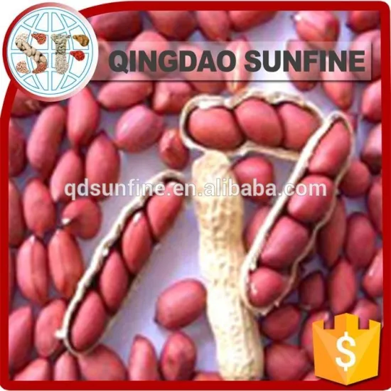 China natural wholesale raw peanuts prices packed peanuts