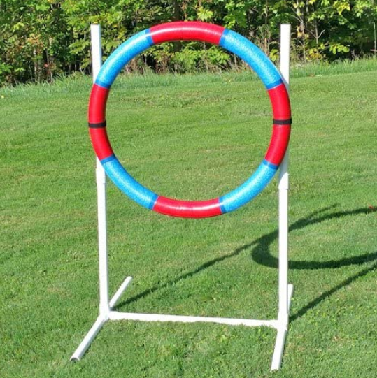 Dog Training Tire Jump