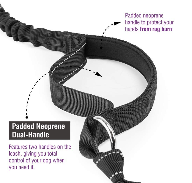 Hands Free Dog pet Leash