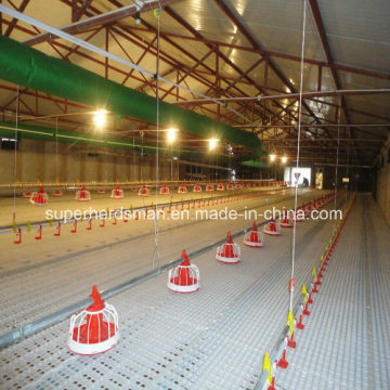 Automatic Poultry Equipment for Broiler and Chicken