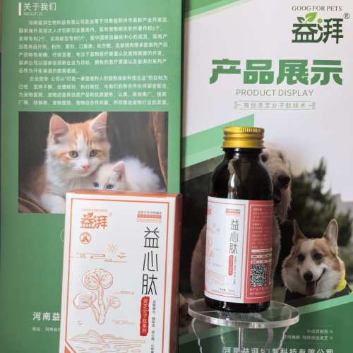 Συμπληρώματα για την υγεία της καρδιάς για ηλικιωμένα κατοικίδια