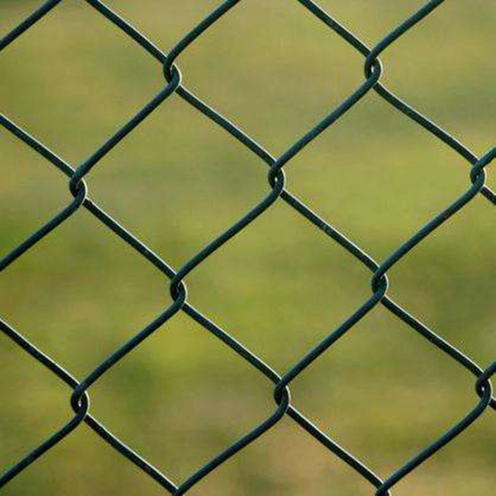 Plastic Garden Vegetable Anti Bird Mesh