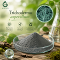 مسحوق الجراثيم الفطرية Trichoderma Asperellum للزراعة