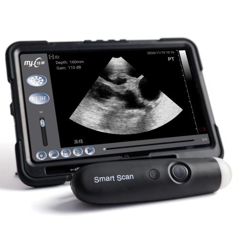 wireless veterinary ultrasound equipment