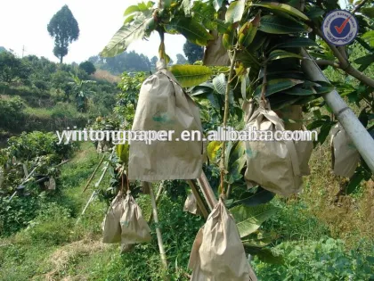 Cheap mango bag, Mango Paper Bag, Mango Growing Bag