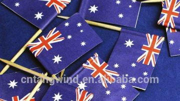 Promotional Decorative PE Country Flag for Asian cup Australia 2015