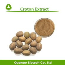 Polvo de extracto de Croton 10: 1 20: 1 Pérdida de peso a base de hierbas
