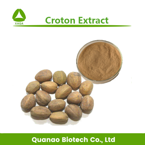 Croton Extract Powder 10: 1 20: 1 Kruidgewichtsverlies