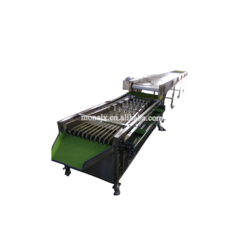 High Performance 2024 Olive Fruit Sorting, Grading, and Sizing Machine: The Ultimate Solution for Efficient Sorting