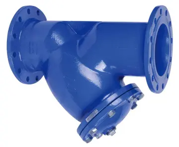 BS Flanged Y-Type Strainer