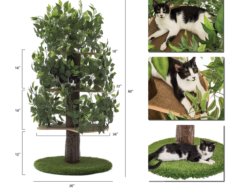 Cat Activity Tree