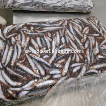 Frozen block anchovy