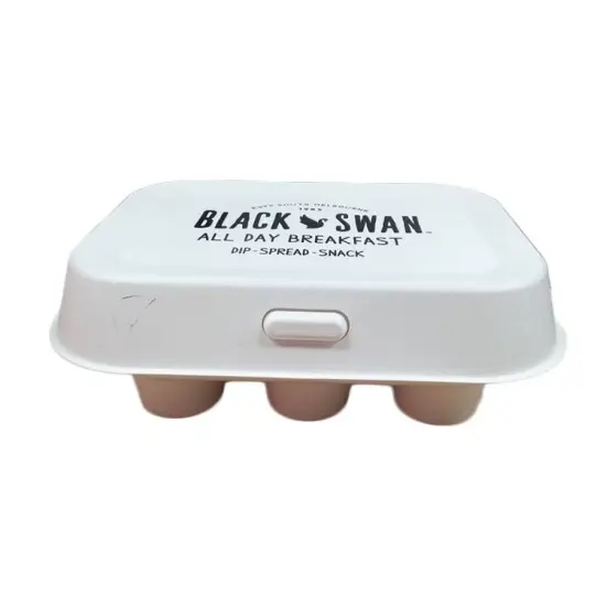 Biodegradable sugarcane molded pulp packaging boxes