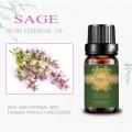 Миқдори равғани эфирии Sage Sears барои Diffuser массаж