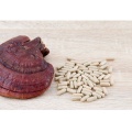 Reishi Fungo in polvere Lingzhi Ganoderma Lucidum Extract