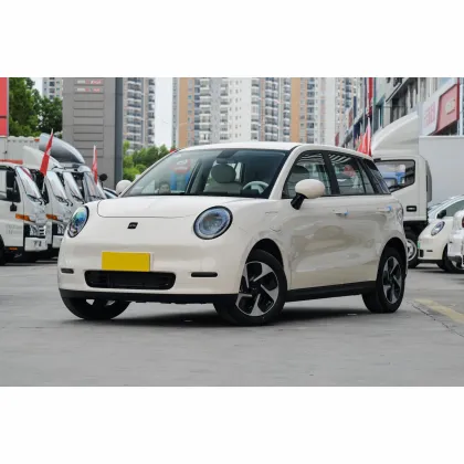 JAC Yiwei 3: New Energy Electric Vehicles with 5 Seats and Affordable Prices