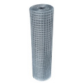 Καλύτερη τιμή Electro Galvanized Weld Wire Mesh Wholesale