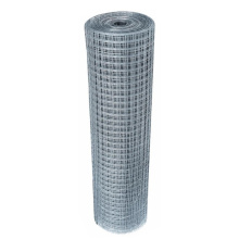 Hot Dipped Galvanized Welding Mesh Roll for Fence/Decoration