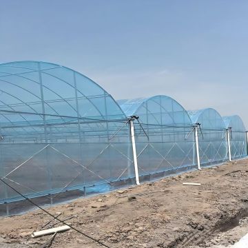 Premium Flim Multi-Span Greenhouse