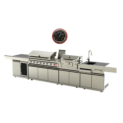 Modular Kitchen Cabinet Modern Style BBQ Charcoal Grill for Garden