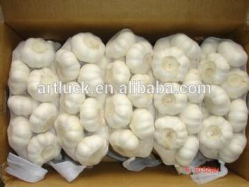 Fresh garlic