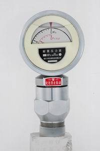 Mud Pump Pressure Indicator (YK100B)