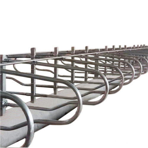KLN Free Cow Stall