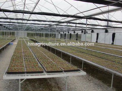 2018 Hot sale agricultural solar plastic sunshine greenhouse