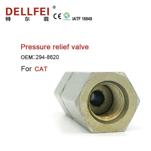 NOUVELLE VALVE DE RÉGULATEUR DIESEL 294-8620 pour CAT