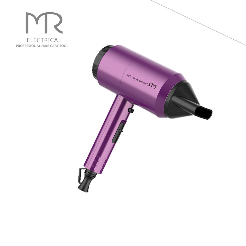 Customized Hotel Bathroom Electrical Hair Dryer 1200W