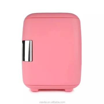6L 12V drink cooler box cold heat fridge