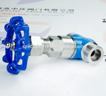 TF-LOK Double butt weld power station needle valve