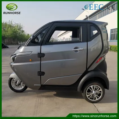EEC Mini Adult Electric Small Car