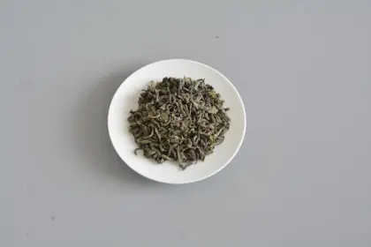 Green tea factory premium organic tea OP 9101