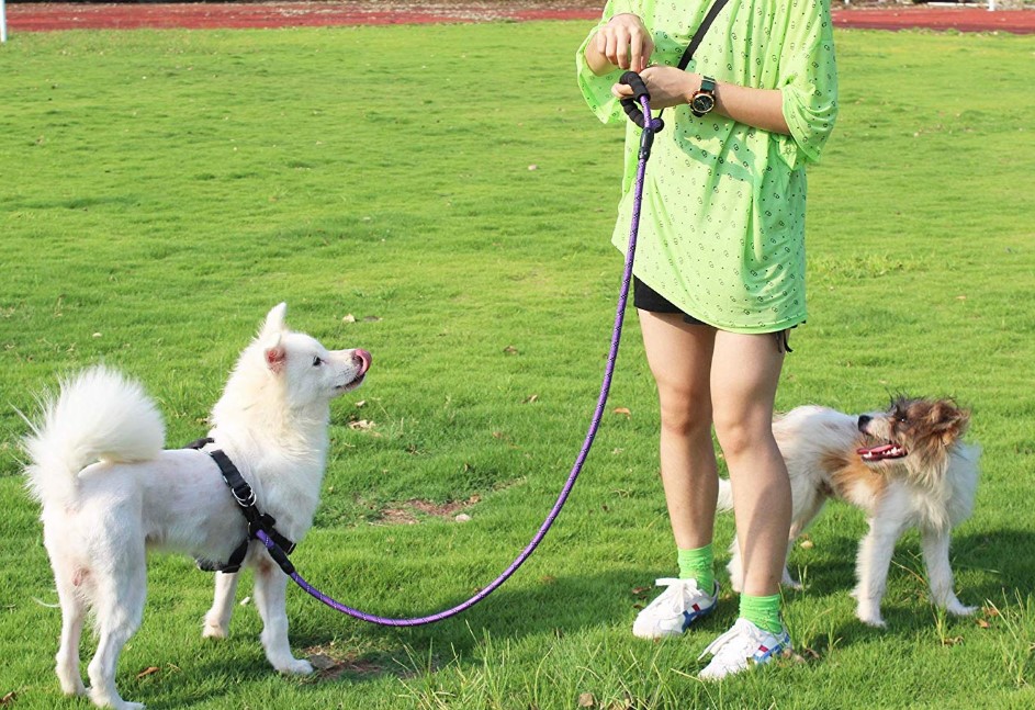 Comfortable Strong Dog Leash