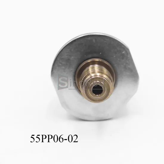 Sale: Rail Pressure Sensor 55PP06-02 & Common Rail Pump Repair Kits - Get Your Replacement Today!