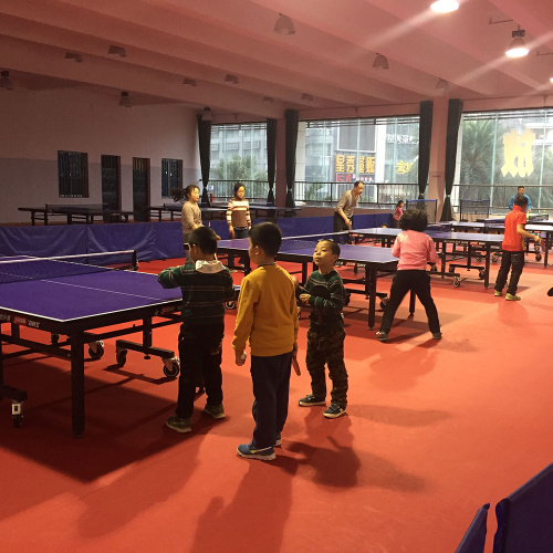 la competizione professionale al coperto usa il pavimento da ping pong