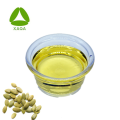 Cold Pressed Organic Pumpkin Seeds Oil 99%