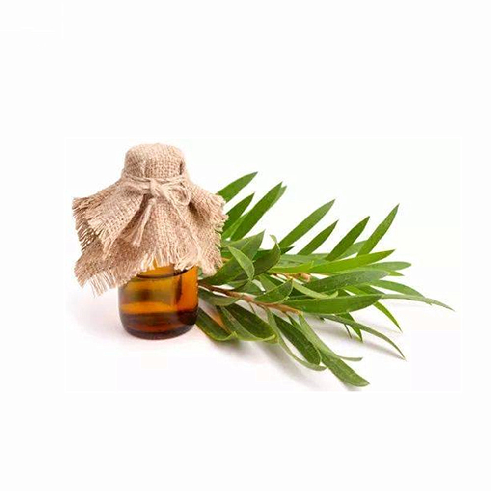 100% Pure And Natural Organic Tea Tree Essential Oil