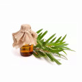 Factory supply pure organic tea tree Essential Oil