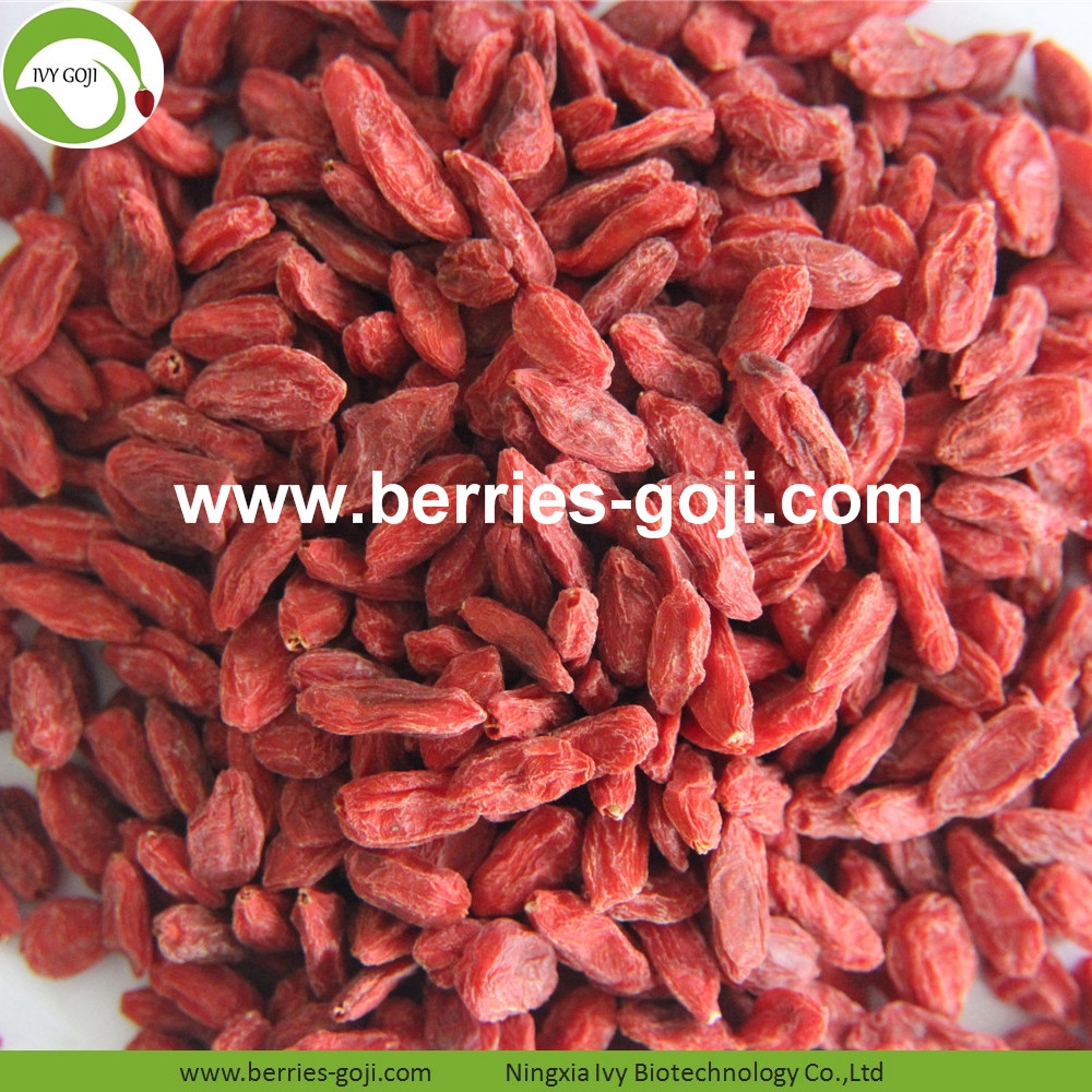 Organic Dried Wolfberry