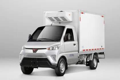 Wuling Bingbao Mini Food Transport Van for Sale